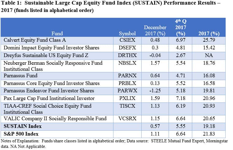 Sustainable large cap equity fund index performance results 2017