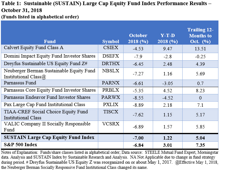 Large Cap Equity Fund Index Performance Results: October 2018