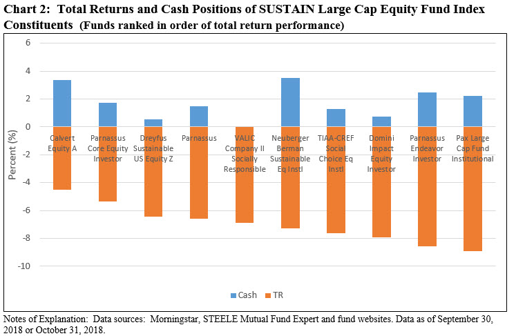 Total Returns and Cash Positions of SUSTAIN Large Cap Equity Fund Index Constituents