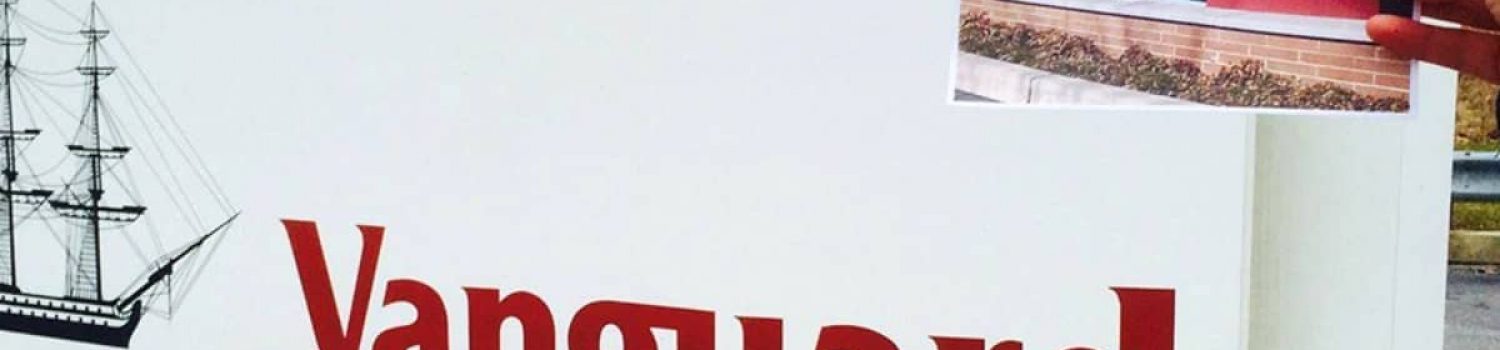 Genocide free investing 1 Vanguard Funds