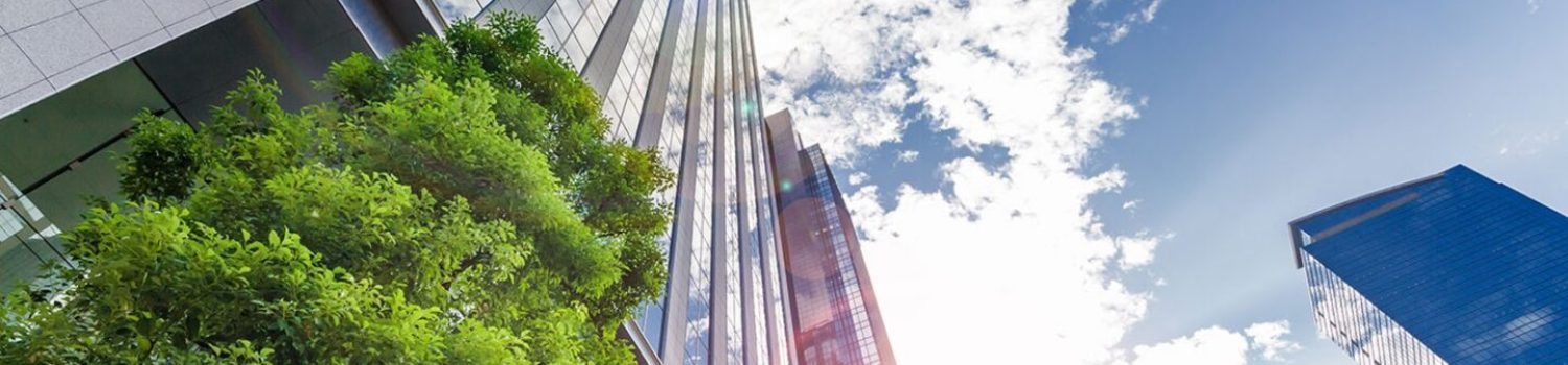 Images-16 corp social resp Looking up at glass skyscrapers and trees
